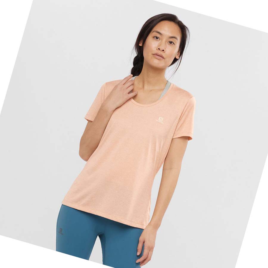 Camiseta Salomon AGILE Mujer Beige | MX 2555YXF